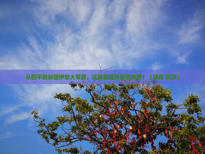 四平到新疆伊犁大草原景点