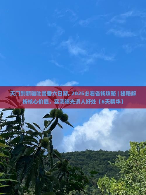 天门到新疆吐鲁番六日游