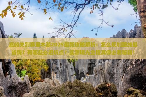 嘉峪关到新疆赛里木湖攻略