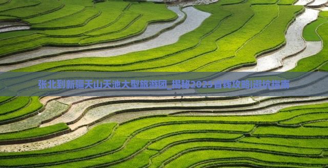 张北到新疆天山天池大型旅游团