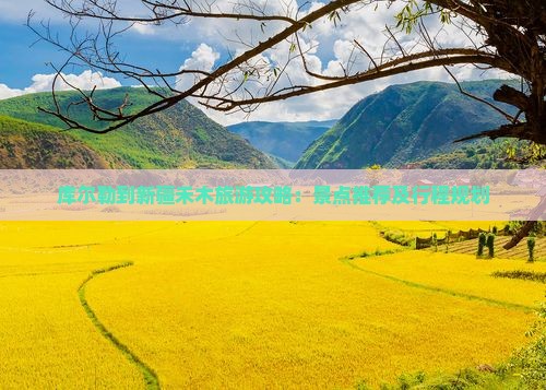 库尔勒到新疆禾木哪里玩 库尔勒到新疆禾木哪里玩