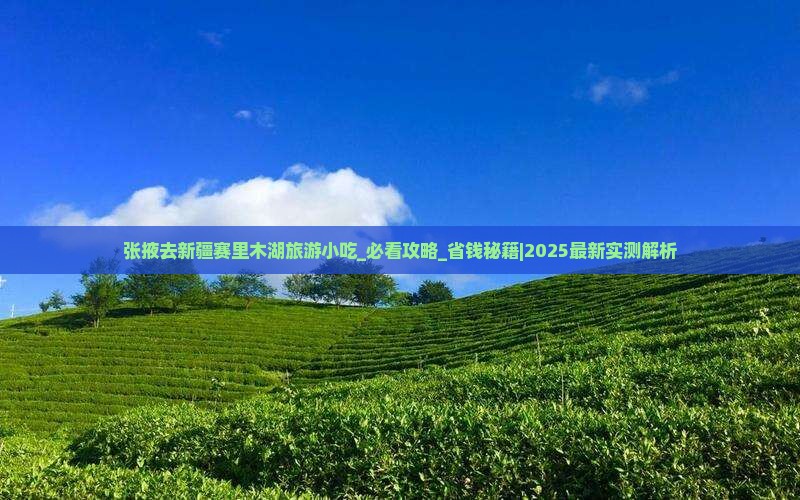 张掖去新疆赛里木湖旅游小吃