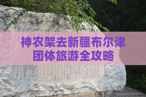 神农架去新疆布尔津团体旅游