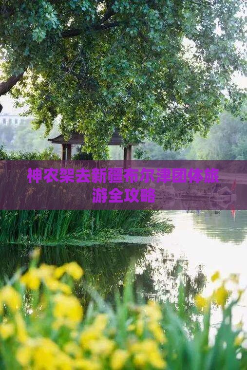 神农架去新疆布尔津团体旅游