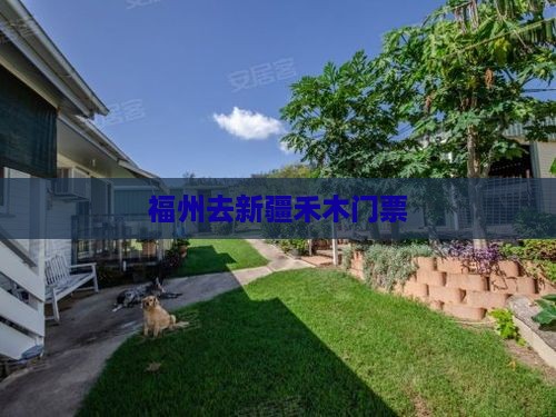 福州去新疆禾木门票