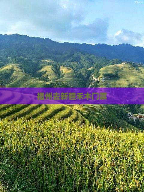 福州去新疆禾木门票