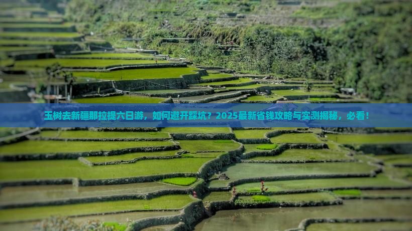 玉树去新疆那拉提六日游