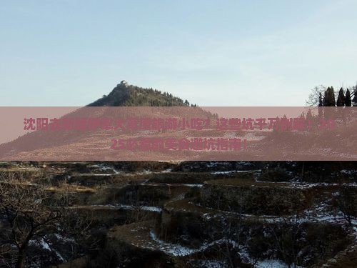 沈阳去新疆伊犁大草原旅游小吃
