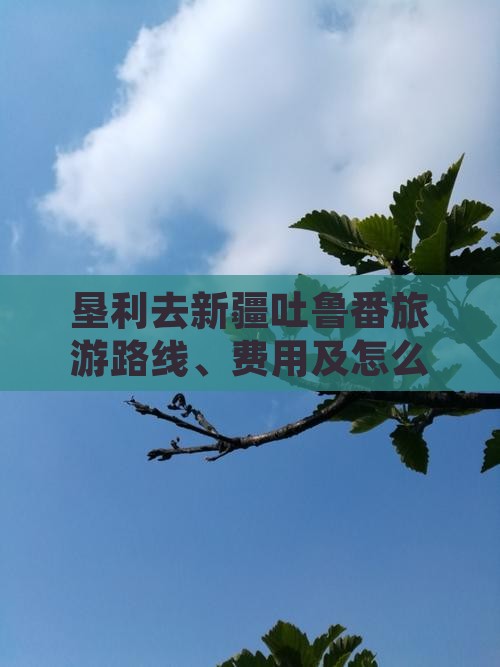 垦利去新疆吐鲁番旅游