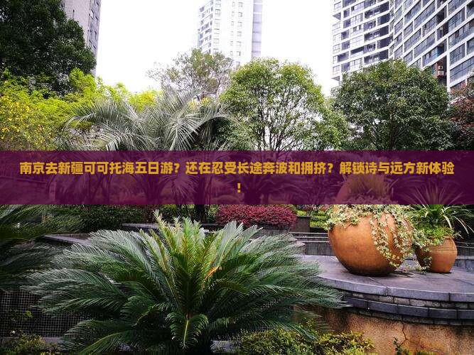 南京去新疆可可托海五日游