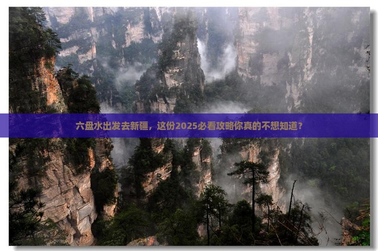 六盘水去新疆大型旅游团