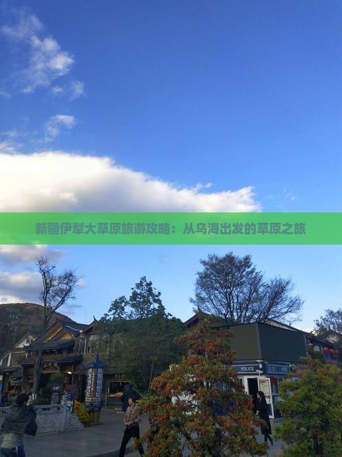 乌海市到新疆伊犁大草原自由团