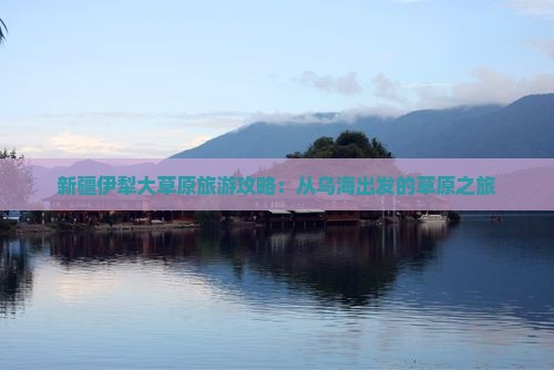 乌海市到新疆伊犁大草原自由团