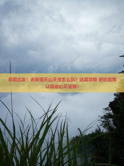 阜阳到新疆天山天池旅行社
