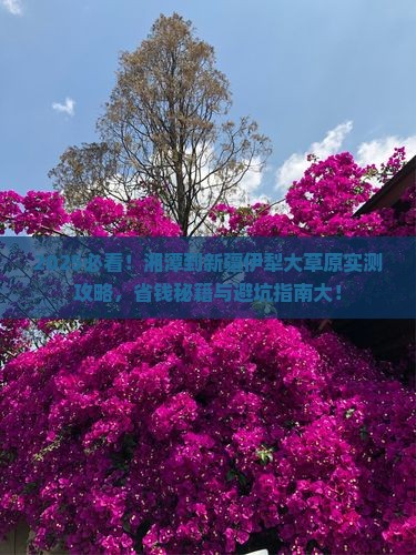 湘潭到新疆伊犁大草原攻略