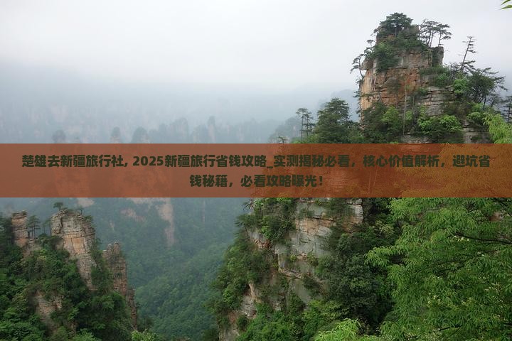 楚雄去新疆旅行社
