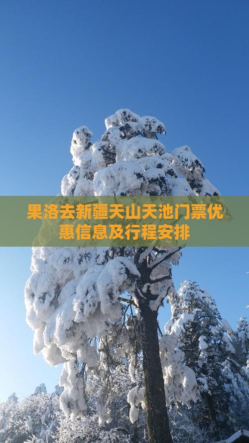 果洛去新疆天山天池门票