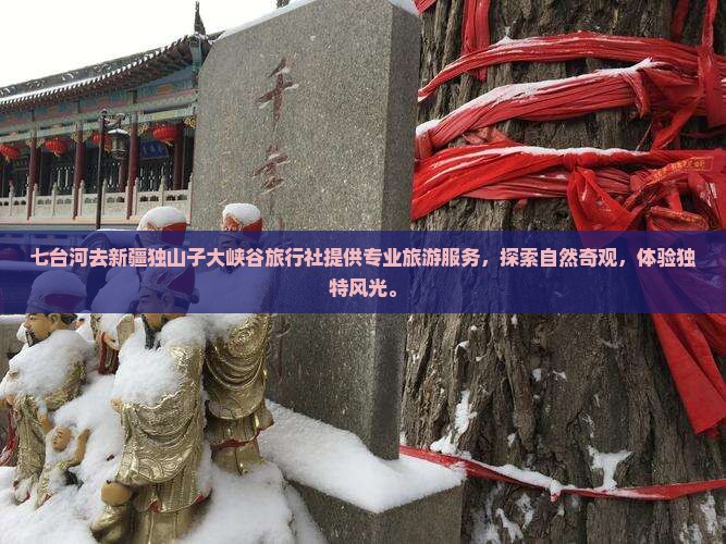 七台河去新疆独山子大峡谷旅行社
