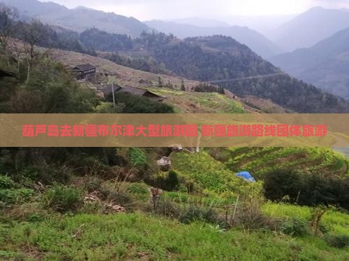 葫芦岛去新疆布尔津大型旅游团