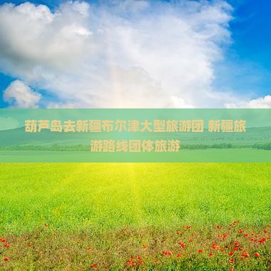 葫芦岛去新疆布尔津大型旅游团