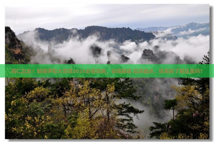 铜仁到新疆伊犁大草原旅游