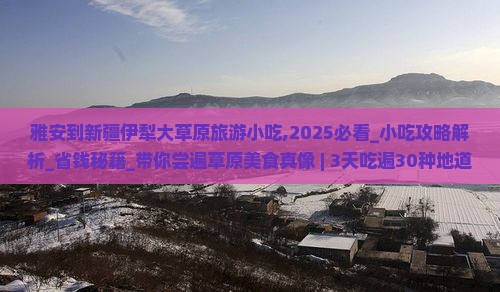 雅安到新疆伊犁大草原旅游小吃