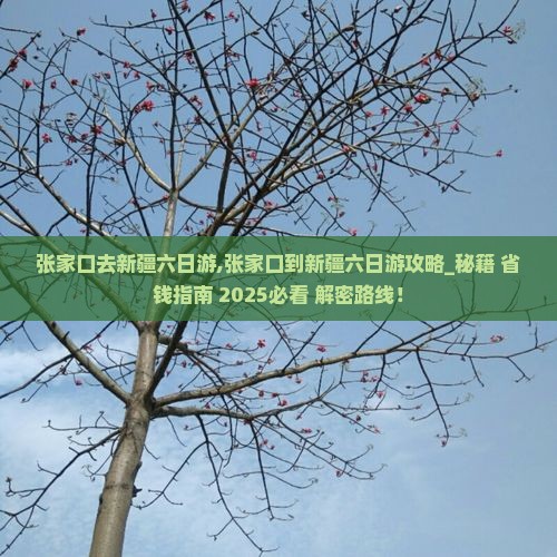 张家口去新疆六日游