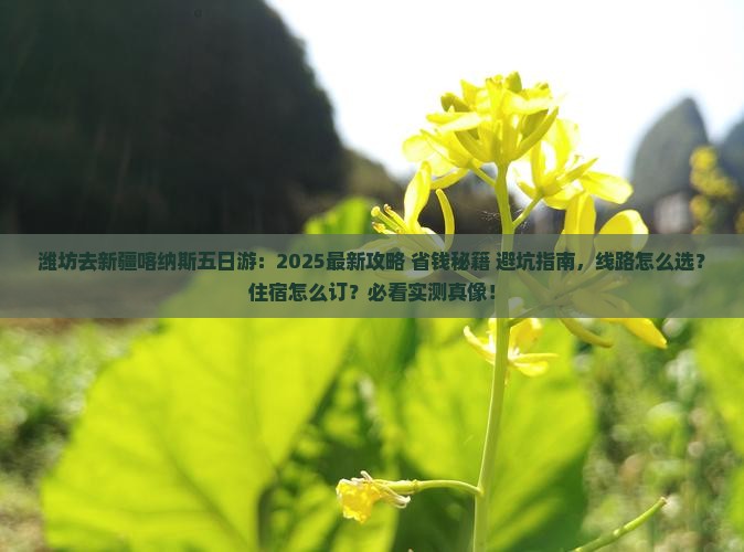 潍坊去新疆喀纳斯五日游