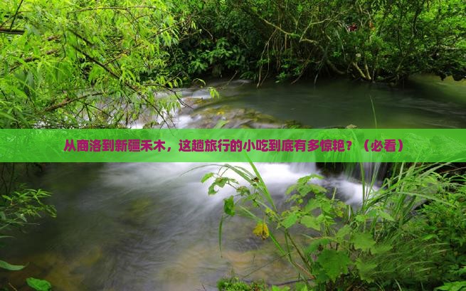 商洛到新疆禾木旅游小吃