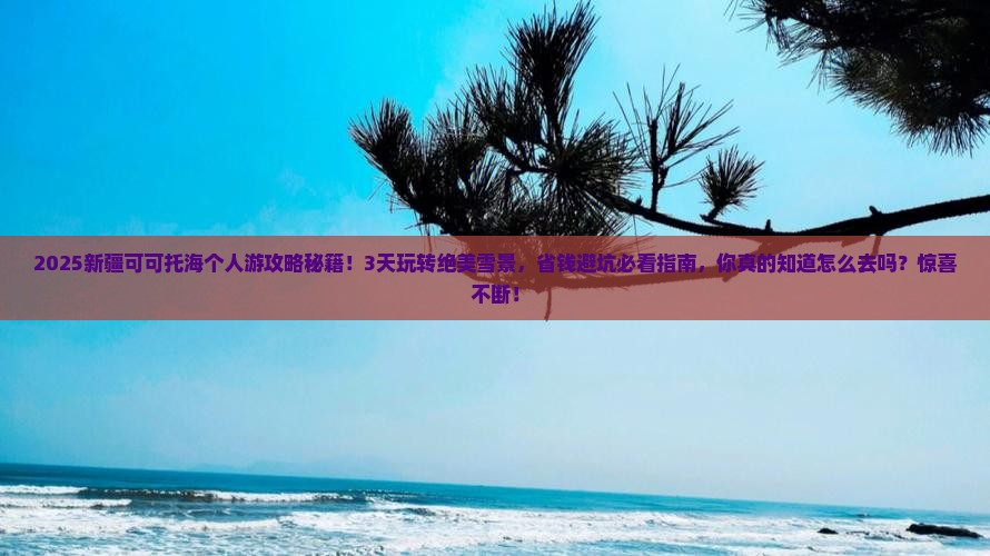 二月到新疆可可托海个人游