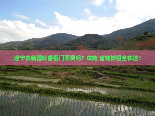 遂宁去新疆吐鲁番门票