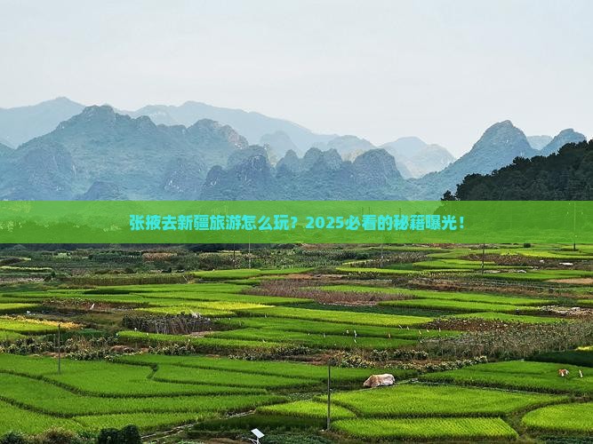 张掖去新疆旅游
