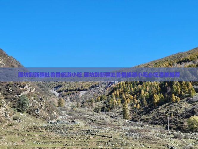 廊坊到新疆吐鲁番旅游小吃