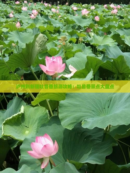 泸州到新疆吐鲁番哪里玩
