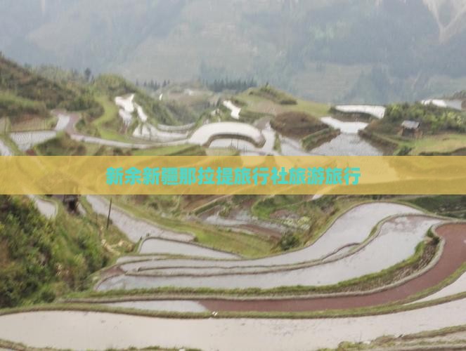 新余去新疆那拉提旅行社