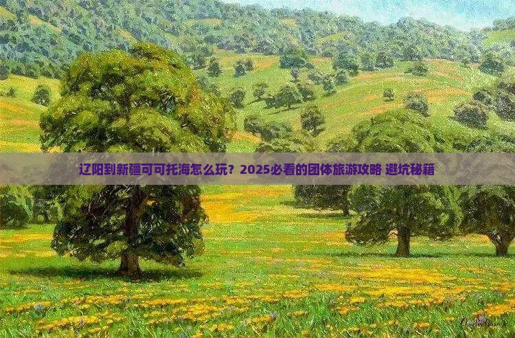 辽阳到新疆可可托海团体旅游