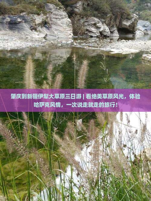 肇庆到新疆伊犁大草原三日游