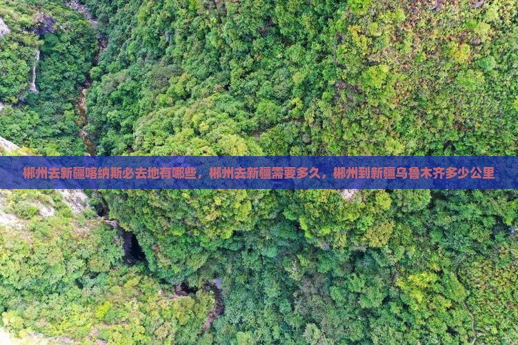 郴州去新疆喀纳斯必去地