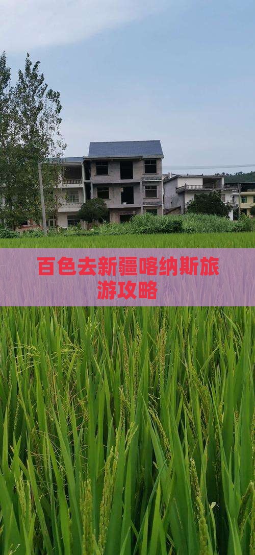 百色去新疆喀纳斯门票