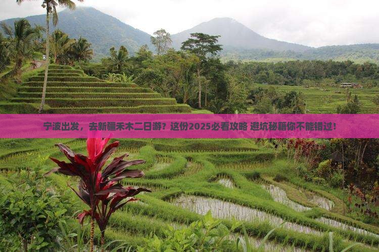 宁波到新疆禾木二日游