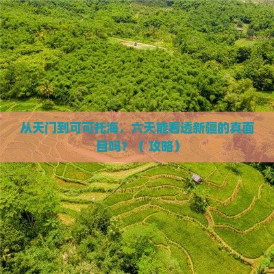 天门到新疆可可托海六日游