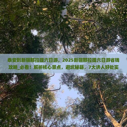 泰安到新疆那拉提六日游
