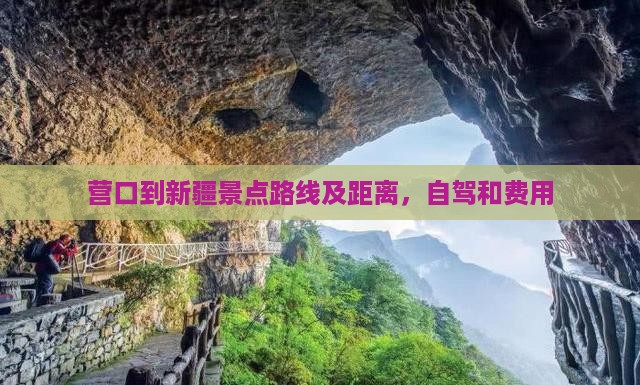 营口到新疆景点