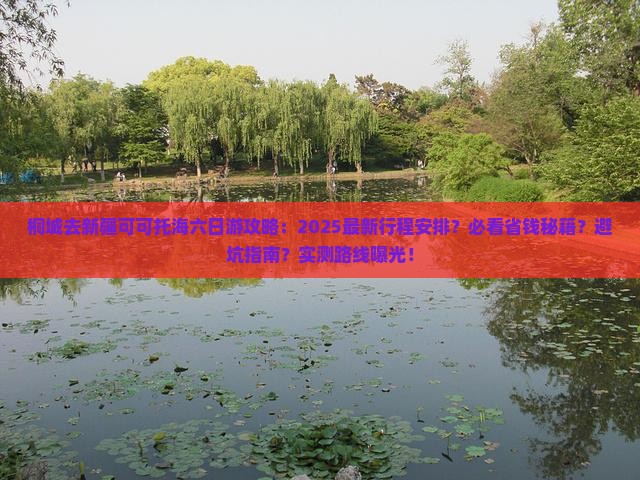 桐城去新疆可可托海六日游