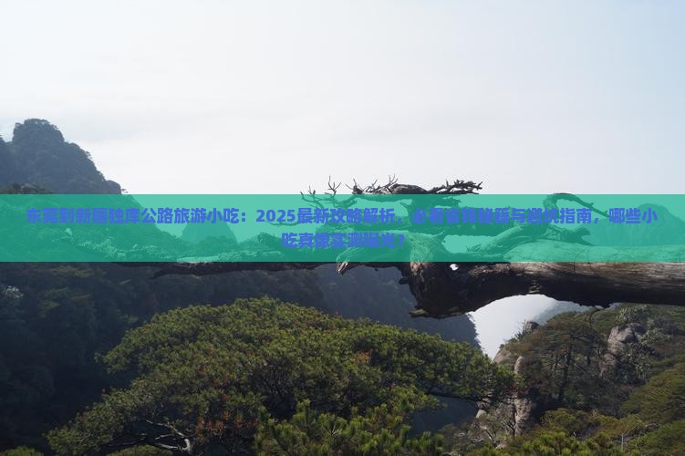 东莞到新疆独库公路旅游小吃 东莞到新疆独库公路旅游小吃