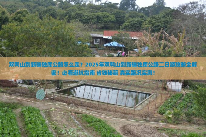 双鸭山到新疆独库公路二日游