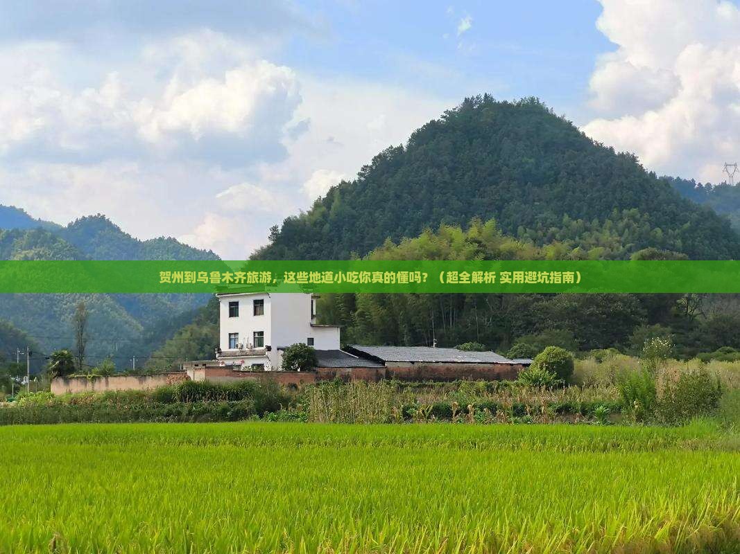 贺州到新疆乌鲁木齐旅游小吃