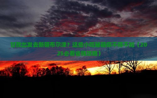 甘孜去新疆布尔津旅游小吃