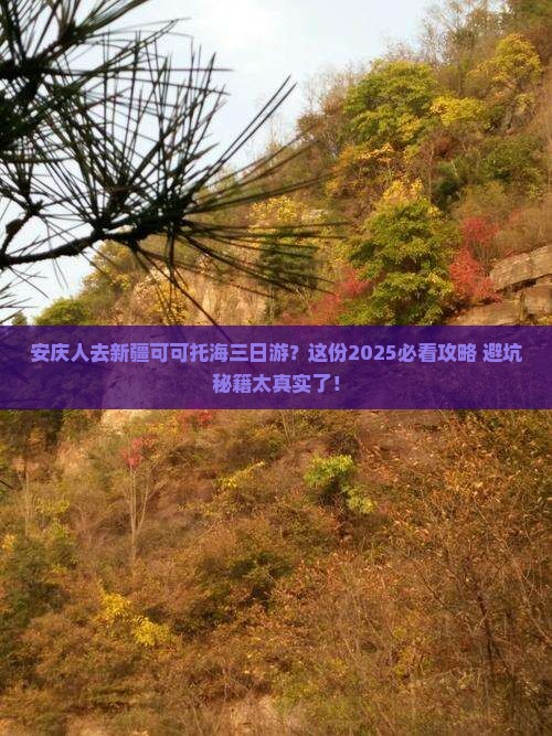安庆去新疆可可托海三日游
