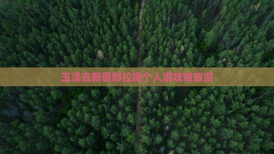 玉溪去新疆那拉提个人游